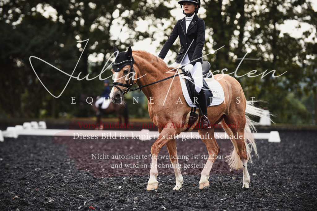 DSC_3834 | Pferde- und Turnierfotografie in Westsachsen. Pferdeportraits, Auftragszeichnungen und intuitive Kunst.