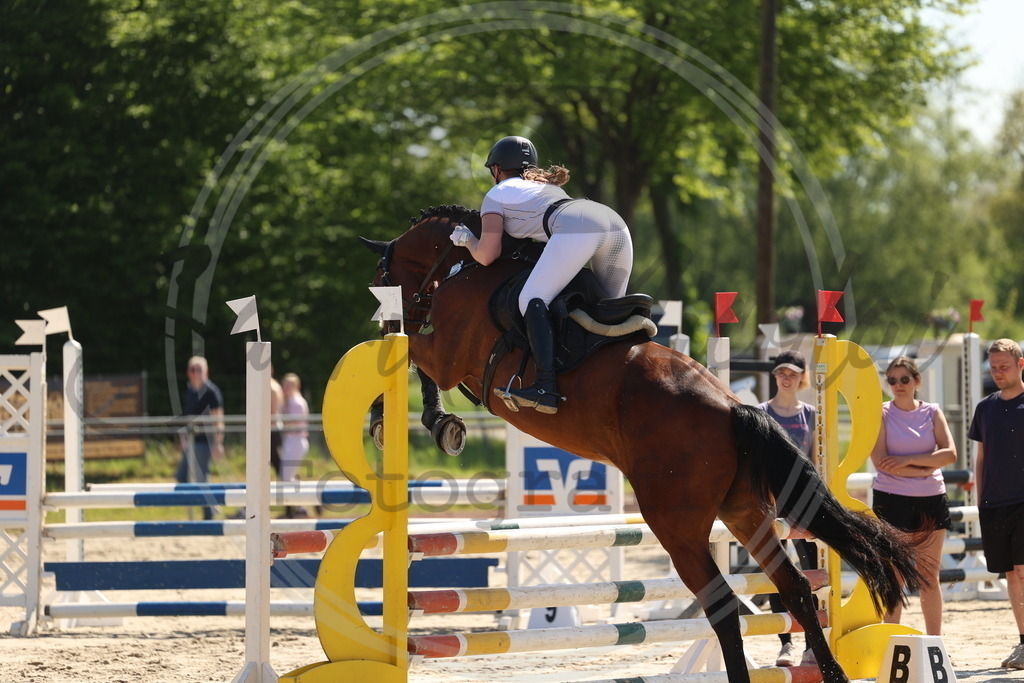 994A5614 | sabrinanicolaifotografie - Realisiert mit Pictrs.com