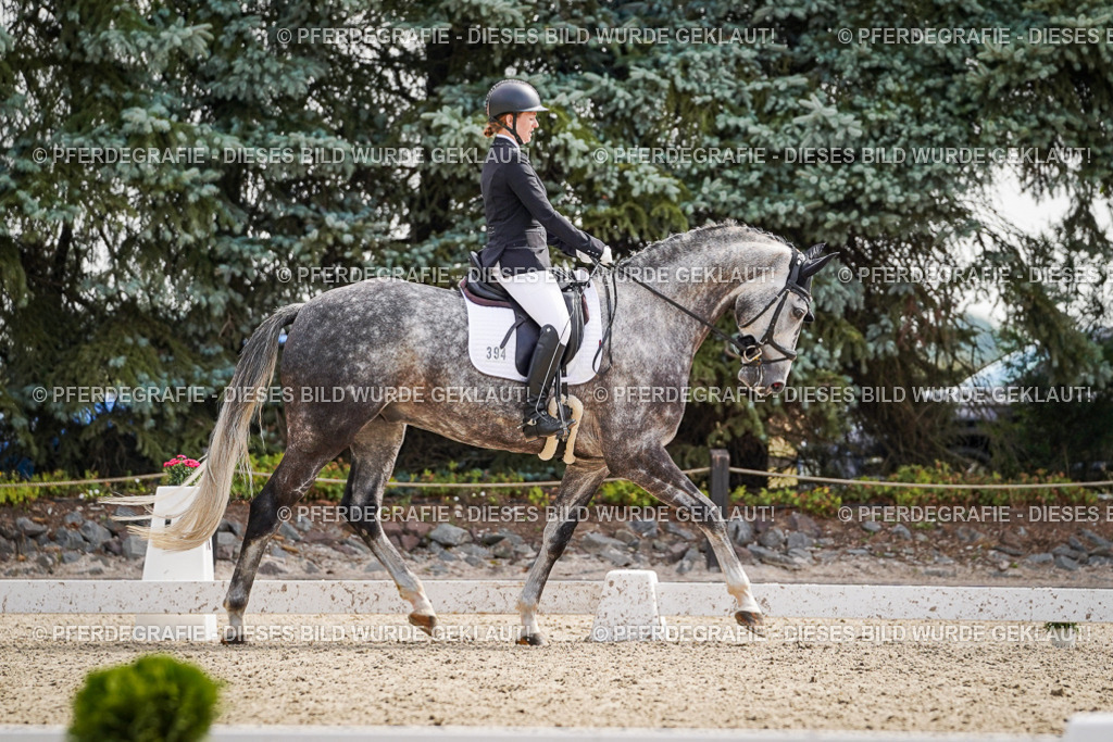 DSC08202 | Pferdegrafie