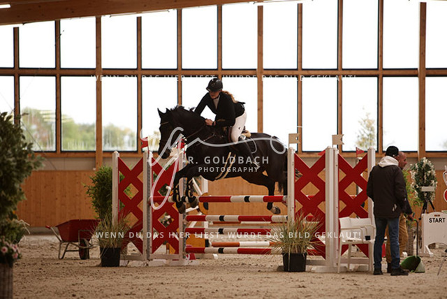 1J2A2769Miriam Steinicke_ Supernova 6_ Kn456_ Hohen Wieschendorf_ Glantz | Foto- und Videografie für alles rund ums Pferd. Hochwertige Bilder und Videos vom Spring- und Dressurreiten, Voltigieren & mehr. Jetzt aktuelle Veranstaltungen und Preise im Shop ansehen. - Realisiert mit Pictrs.com