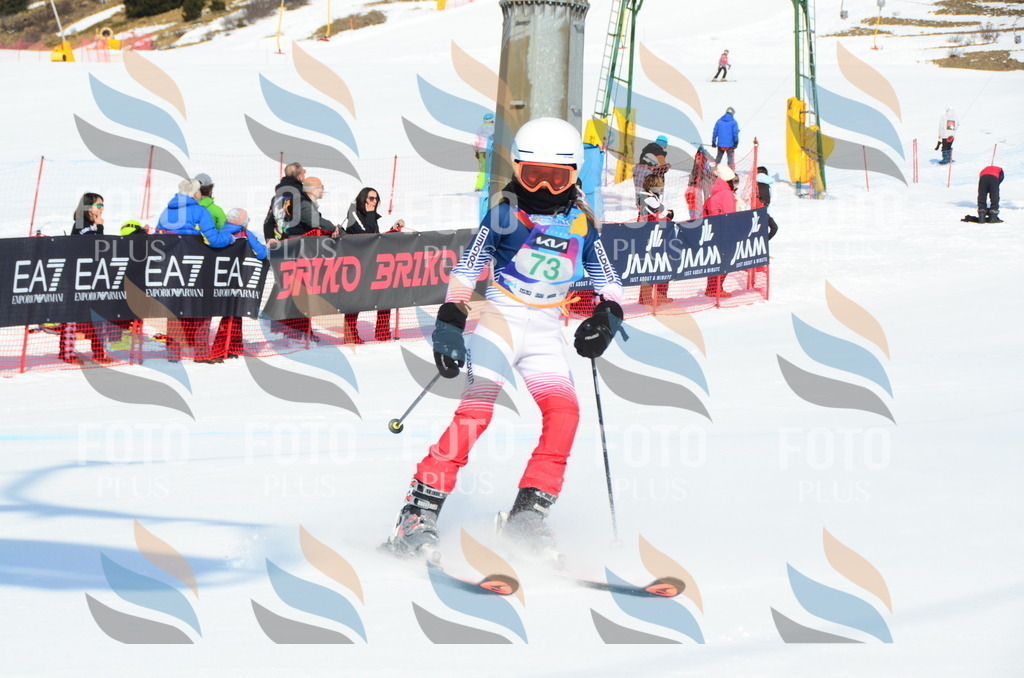 DSC_0431 | holidayphoto