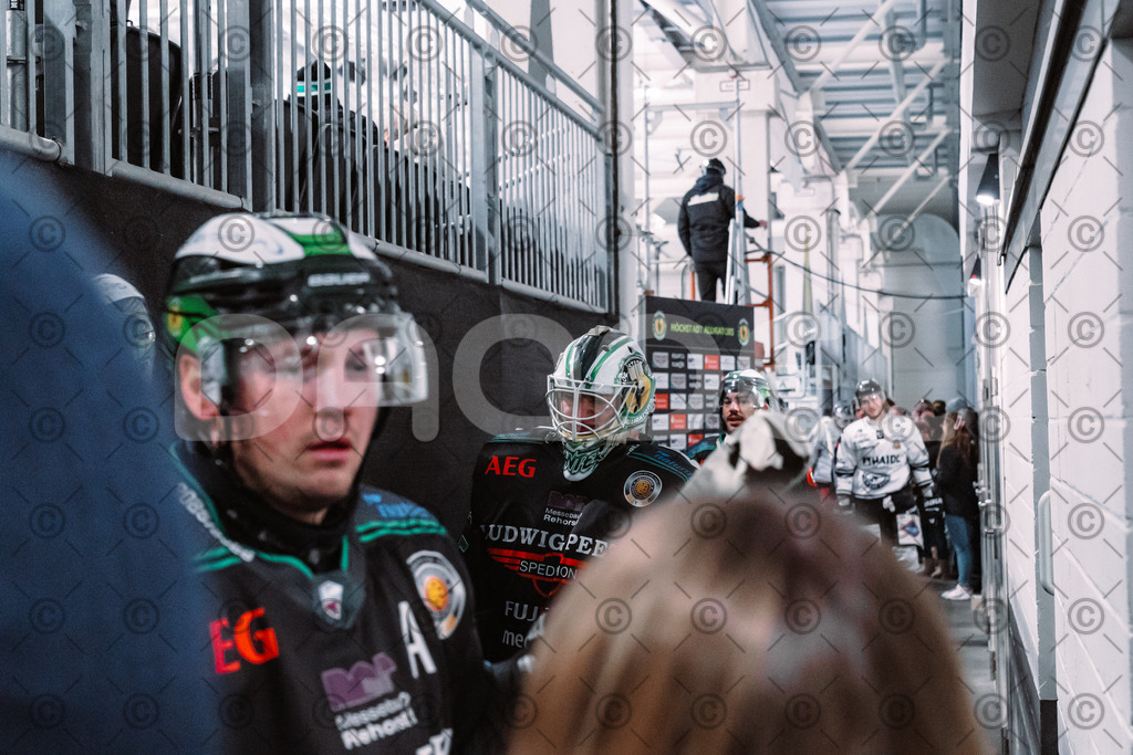 Alligators_vs_Passau_03_12_2025-53 | Höchstadt Alligators Fotogalerie: Eishockey-Action aus Franken. Professionelle Spielfotos, Portraits & Stadionbilder zum Download. Jetzt entdecken! - Realisiert mit Pictrs.com