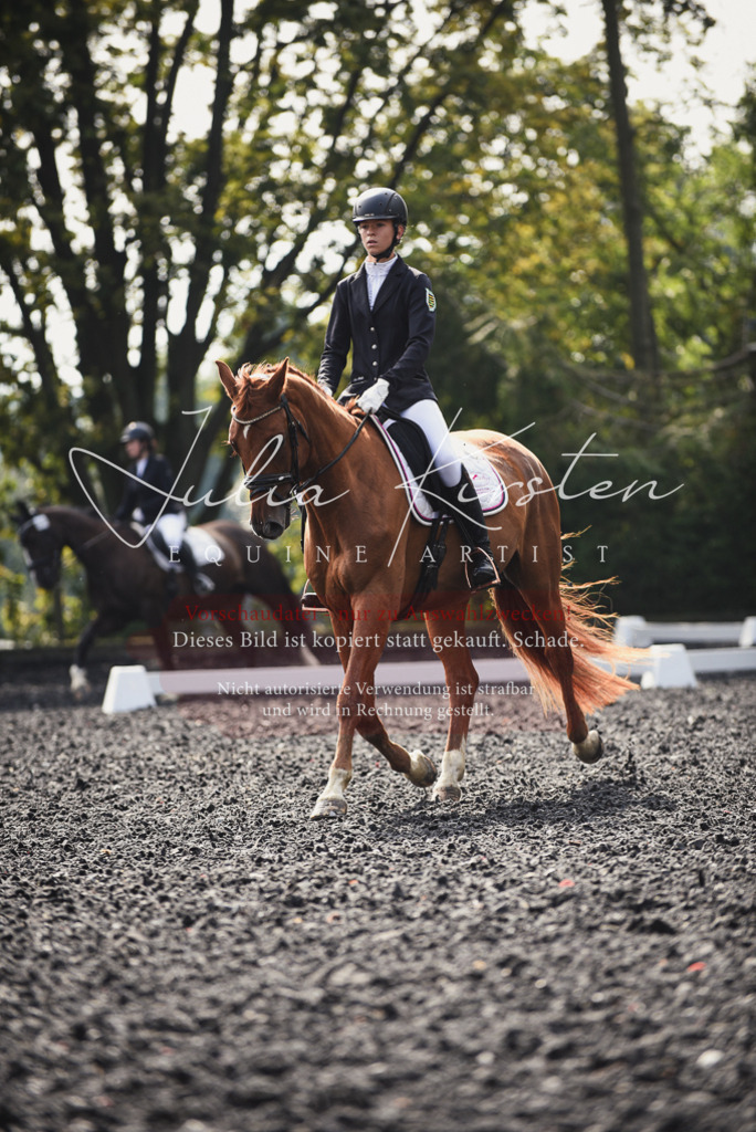 DSC_3599 | Pferde- und Turnierfotografie in Westsachsen. Pferdeportraits, Auftragszeichnungen und intuitive Kunst.