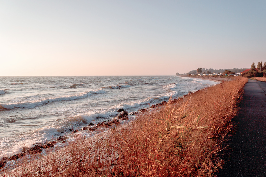 Wandbild: Wellen im Morgenrot am Spazierweg | Dieses Wandbild im Querformat zeigt Wellen am Meer in einer schönen Morgenstimmung. Direkt am Meer befindet sich ein Spazierweg auf einem kleinen Damm. Zwischen dem Meer und dem Weg wachsen Sträucher in einem rotbraun, die eine schöne Wärme ins Wandbild einbringen. Kaufen Sie sich diese schöne maritime Morgenstimmung auf Leinwand, Aluminium-Platte oder Acrylglas. Ideal fürs Wohnzimmer, Schlafzimmer, Küche, den Arbeitsplatz oder die Ferienwohnung. Die Wandbilder werden individuell für Sie in vielen Abmessungen produziert. Daher passen die Ostseekult Wandbilder immer perfekt an Ihre Wände. - Realisiert mit Pictrs.com
