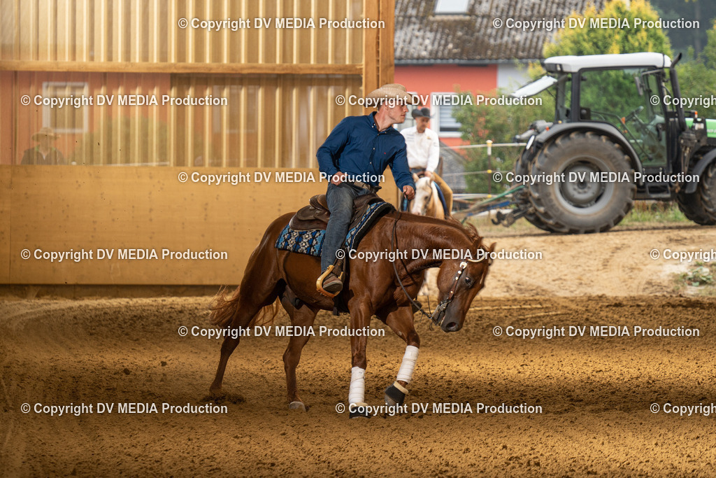 LAU00987 | dv-media-shop - Realisiert mit Pictrs.com