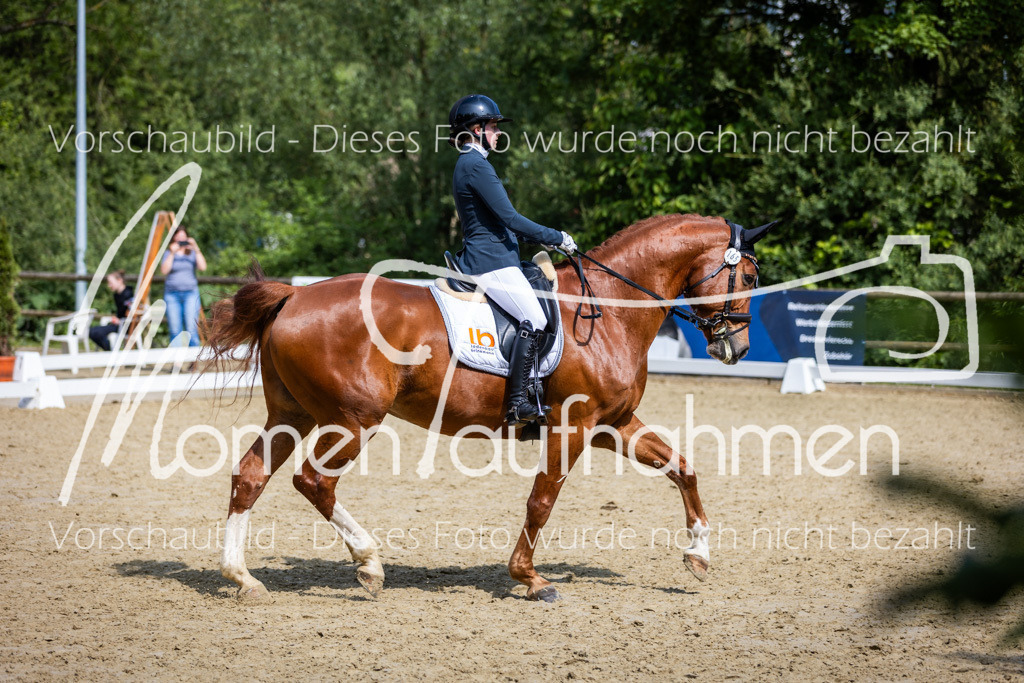 Donop24-L-Dre-019 | MomenTaufnahmen Pferdesportfotos