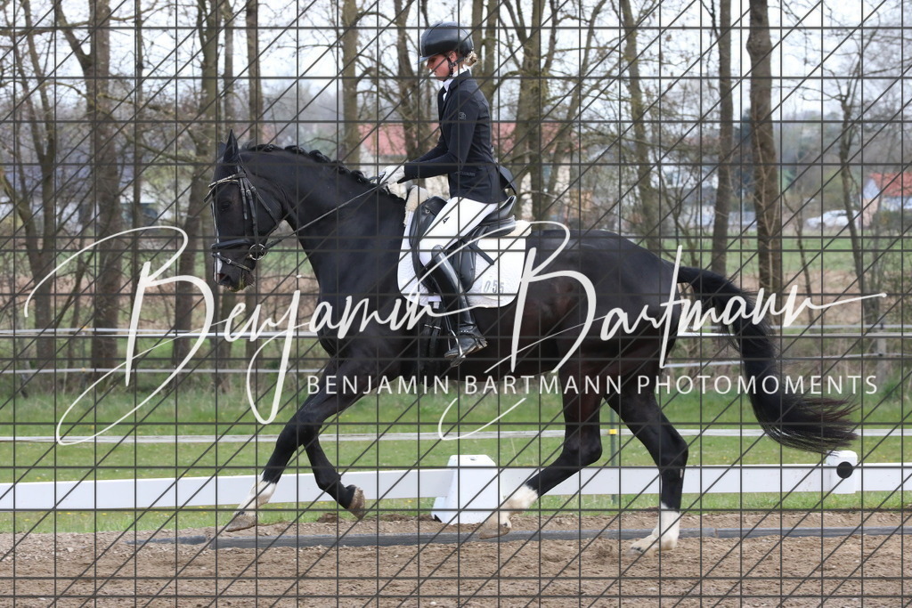 AZ2A6601 | Benjamin Bartmann Photomoments