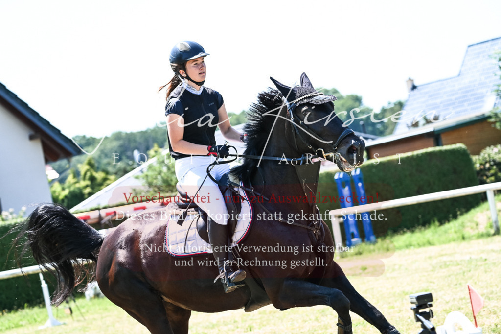 DSC_0504 | Pferde- und Turnierfotografie in Westsachsen. Pferdeportraits, Auftragszeichnungen und intuitive Kunst.