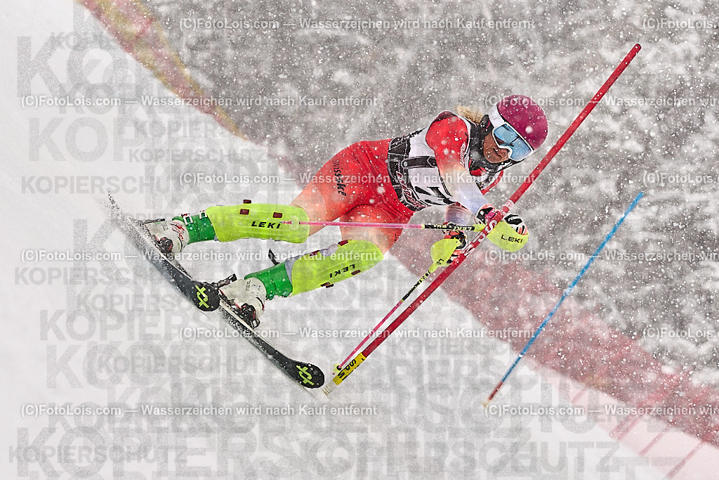 _ALP9030_MASTERS-WM_Reiteralm_CD_SL-I_MEIER Sibylle | FISWORLD CHAMPIONSHIPSMASTERS ALPINE SKIING, 23. – 28. MÄRZ 2026 - REITERALM | STMK | AUT.   Veranstaltet vom Masters-Referat des Deutschen Skiverbandes (DSV). Durchführende Organisation: WSV Pichl-Reiteralm, unterstütutzt von den Bergbahnen REITERALM bei Schladming und SKI AUSTRIA.                            Disziplinen:  Super-G, GiantSlalom, Slalom.                                                 Kategorien:  A (Herrn 30-59 Jahre), B (Herrn ab 60 Jahre), C (Damen 30-59 Jahre), D (Damen ab 60 Jahre).                Rennstrecken:   Gasselhöhe und Muldenliftpiste auf der Reiteralm.