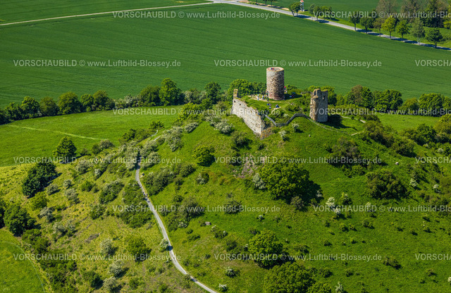 Warburg240505055BurgDesenberg | Luftbild, Burg Desenberg auf einem Vulkankegel, historische Sehenswürdigkeit, Ruine einer Höhenburg in der Warburger Börde, Besucher auf der Aussichtsplattform, Daseburg, Warburg, Ostwestfalen, Nordrhein-Westfalen, Deutschland
