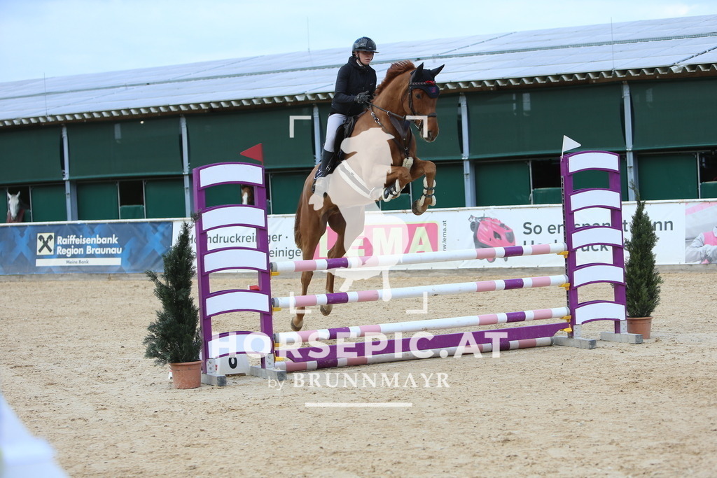 DL2Q9772 | Willkommen bei Brunnmayr - Design & Fotografie – Ihrem Spezialisten für Reitturniere und Pferdeveranstaltungen in Oberösterreich, Salzburg und Bayern! Seit über 17 Jahren sind wir leidenschaftlich dabei.