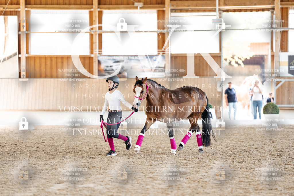 CK907099 | Turnierfotografie Pferdefotografie Trier Rheinland-Pfalz Pferdesport Reitsport Tierfotografie Sportfotografie Pferdevideo Pferdevideografie Equestrianvideography equestrianphotography  - Realisiert mit Pictrs.com