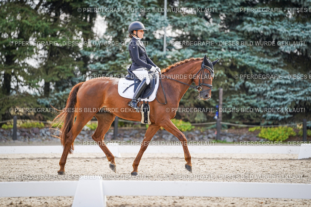 DSC00684 | Pferdegrafie