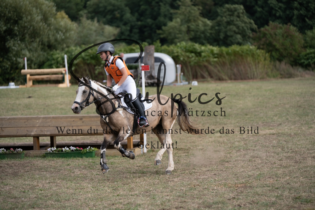 A7V01487 | Pferdefotograf