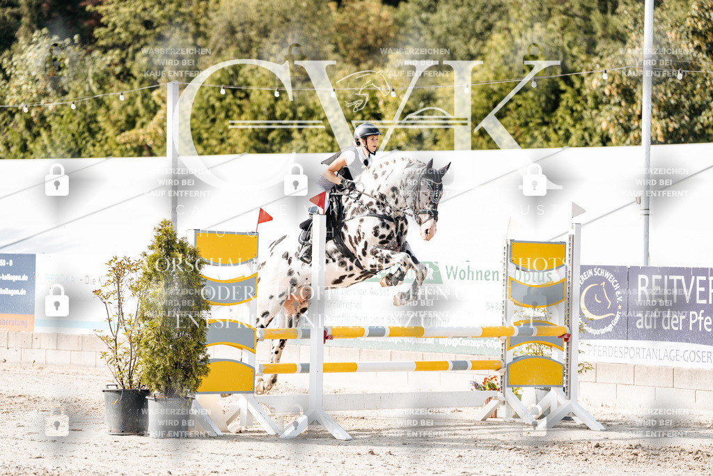 CK905956 | Turnierfotografie Pferdefotografie Trier Rheinland-Pfalz Pferdesport Reitsport Tierfotografie Sportfotografie Pferdevideo Pferdevideografie Equestrianvideography equestrianphotography  - Realisiert mit Pictrs.com