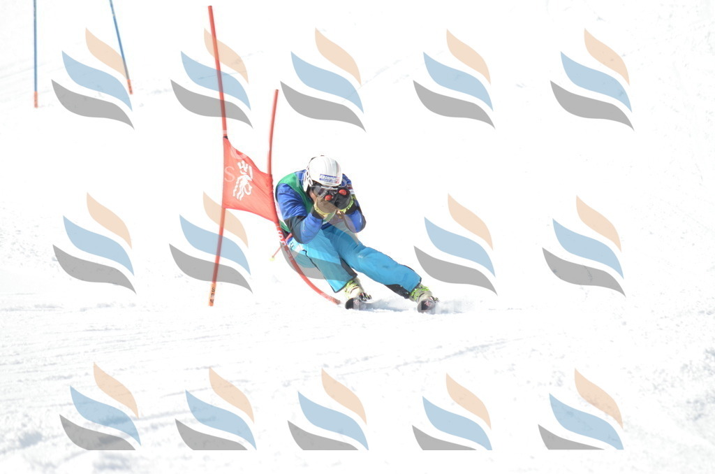 D9232 | holidayphoto