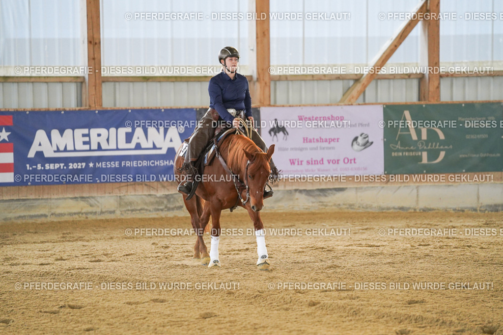 DSC08826 | Pferdegrafie