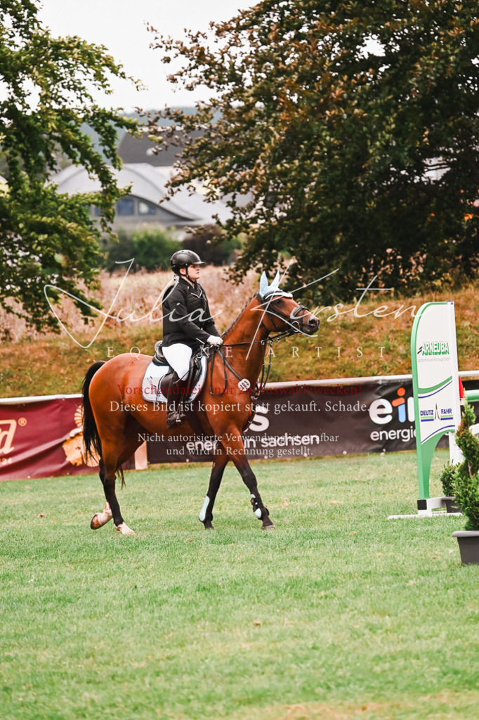 DSC_6032 | Pferde- und Turnierfotografie in Westsachsen. Pferdeportraits, Auftragszeichnungen und intuitive Kunst.