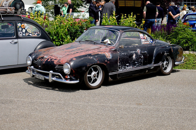 Calag_Oldtimer2025-10 | Ich fotografiere Hundeausstellungen, Sportanlässe, Zuchtstätten, Hundezucht, Hundeportrait, Lagotto - Realisiert mit Pictrs.com