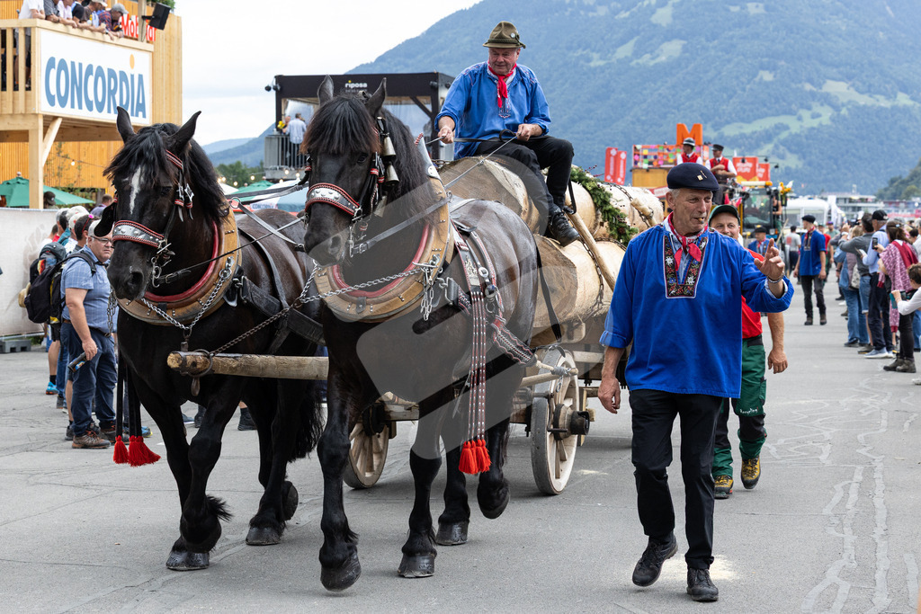 ESAF2025_Freitag_4125 | Die Schwinger des Schwyzer Kantonalen Schwingerverbandes: Fotos, die Dynamik und Leidenschaft festhalten, sowie emotionale Momente aus dem traditionellen Schwingsport zeigen. - Realisiert mit Pictrs.com