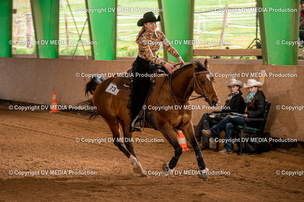 BAL01001 | dv-media-shop - Realisiert mit Pictrs.com