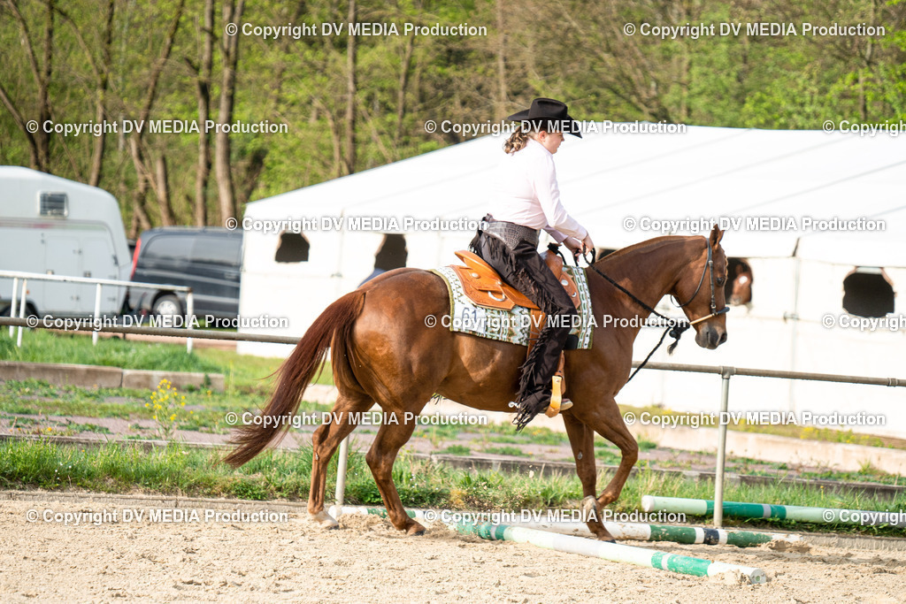 Heiligenwald Tag 2-11 | dv-media-shop - Realisiert mit Pictrs.com