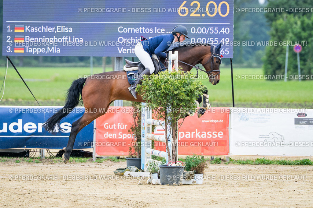 DSC03330 | Pferdegrafie