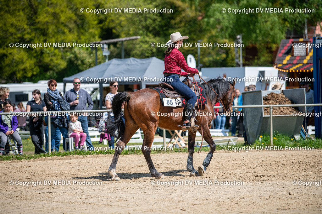 Heiligenwald Tag 3-1275 | dv-media-shop - Realisiert mit Pictrs.com