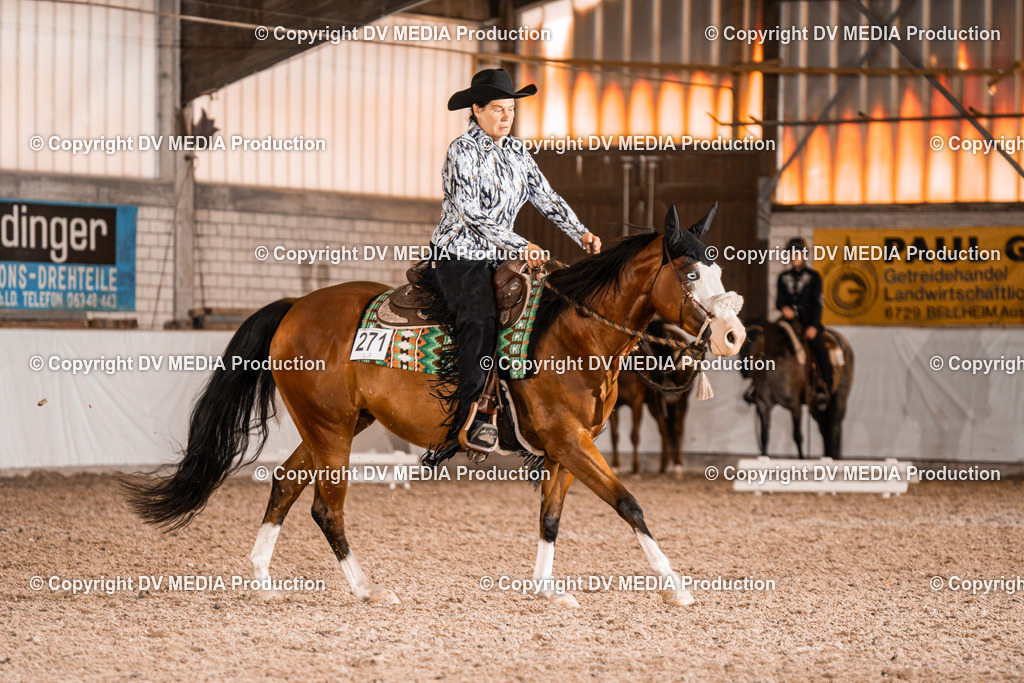 ZH100161 | dv-media-shop - Realisiert mit Pictrs.com