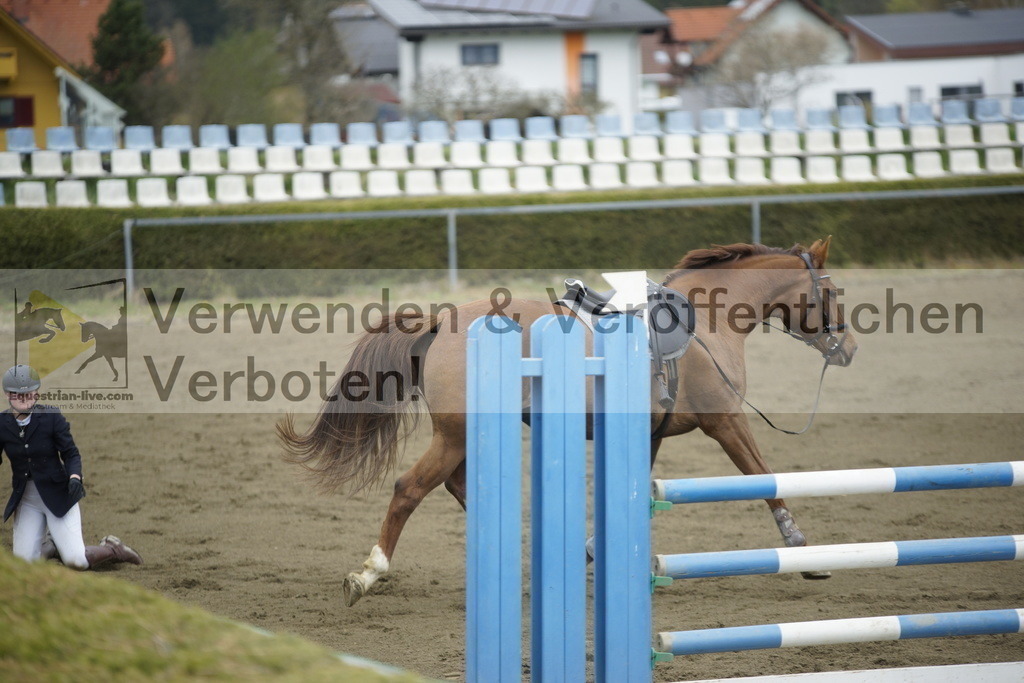 _DSC7168 | equestrian-live-com