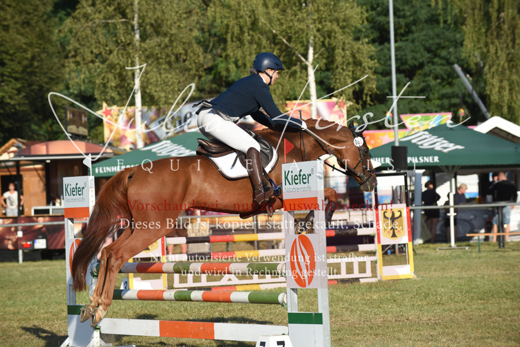 DSC_4903 | Pferde- und Turnierfotografie in Westsachsen. Pferdeportraits, Auftragszeichnungen und intuitive Kunst.