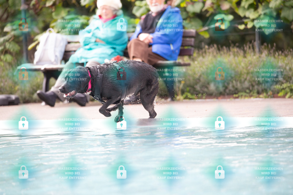 _HP_7498_1000o | HetPix, HetPix Fotodesign, Fotografie, Fotodesign, Webshop, Sportfotografie, Portraitfotografie, Onlineshop, Sportfotografie, Polch, Motorsportfotografie, Eventfotografie