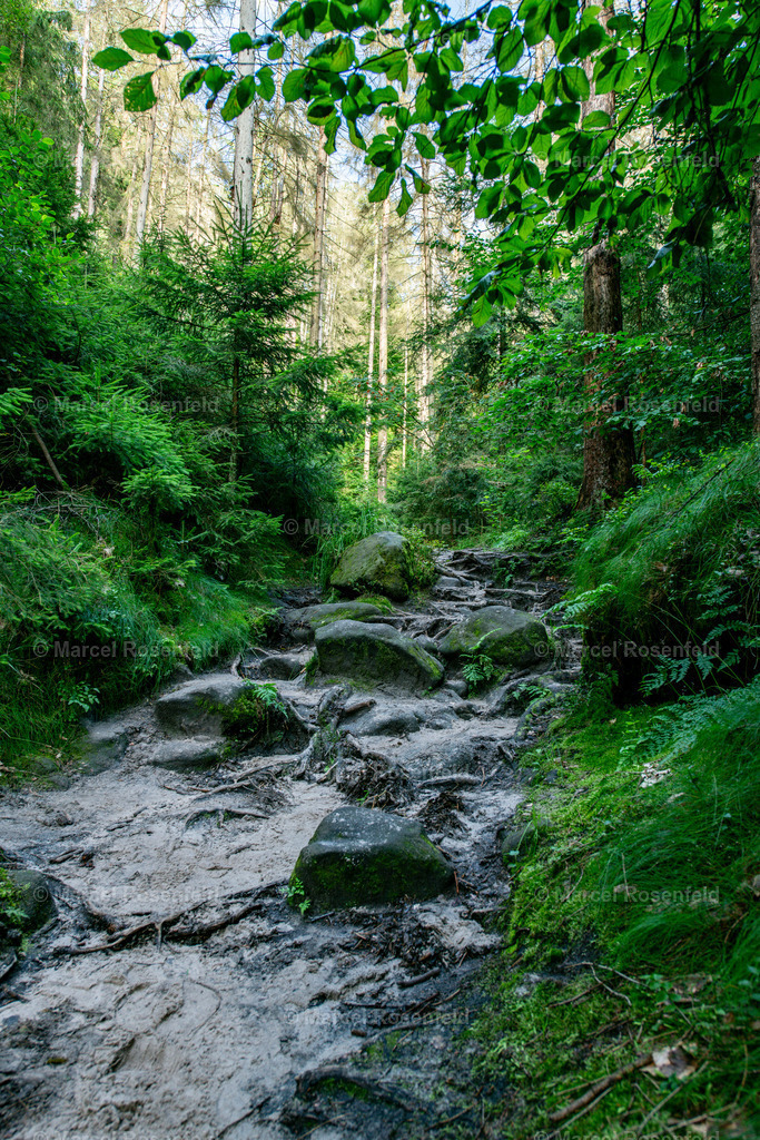 _DSC7396 | foto-rosenfeld