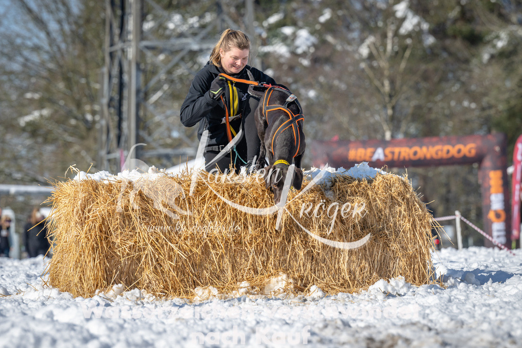 1058_ZZ93928-2 | kk-dogfotos