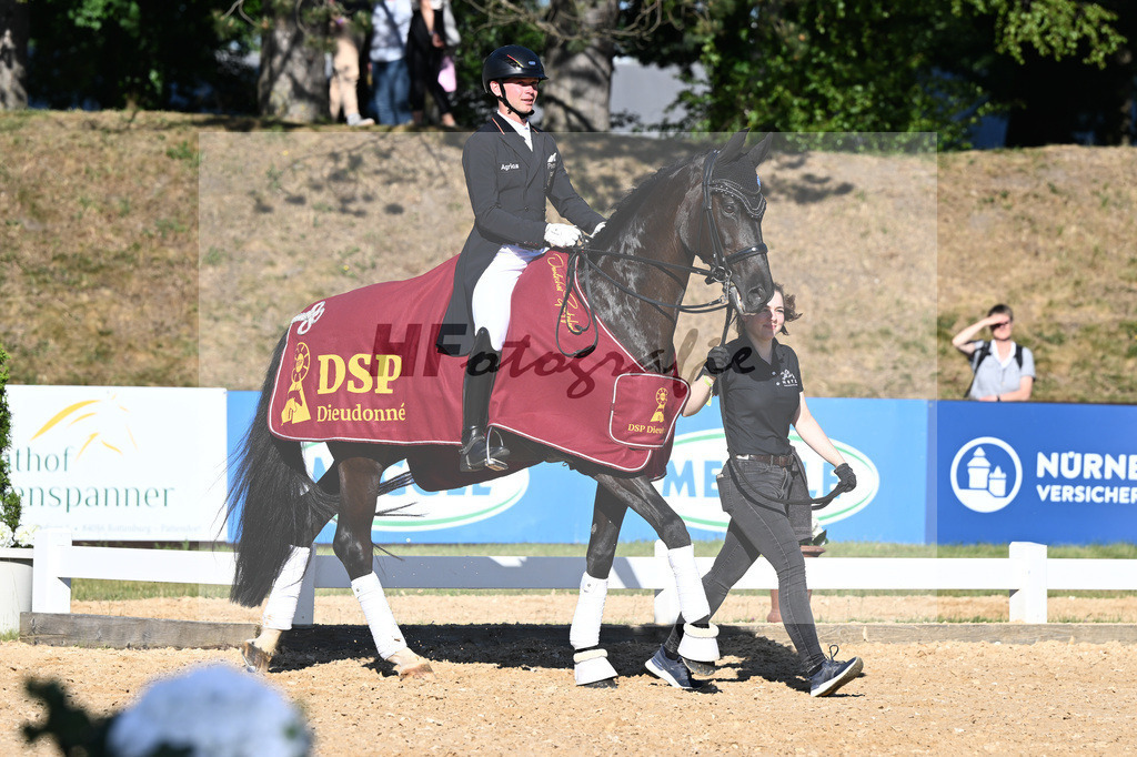 Netz_DSP Dieudonne_11254043 | hf-fotografie - Realisiert mit Pictrs.com