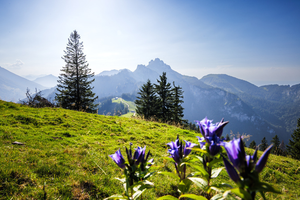 Kampenwand | ap-design // andreas plenk - Realisiert mit Pictrs.com