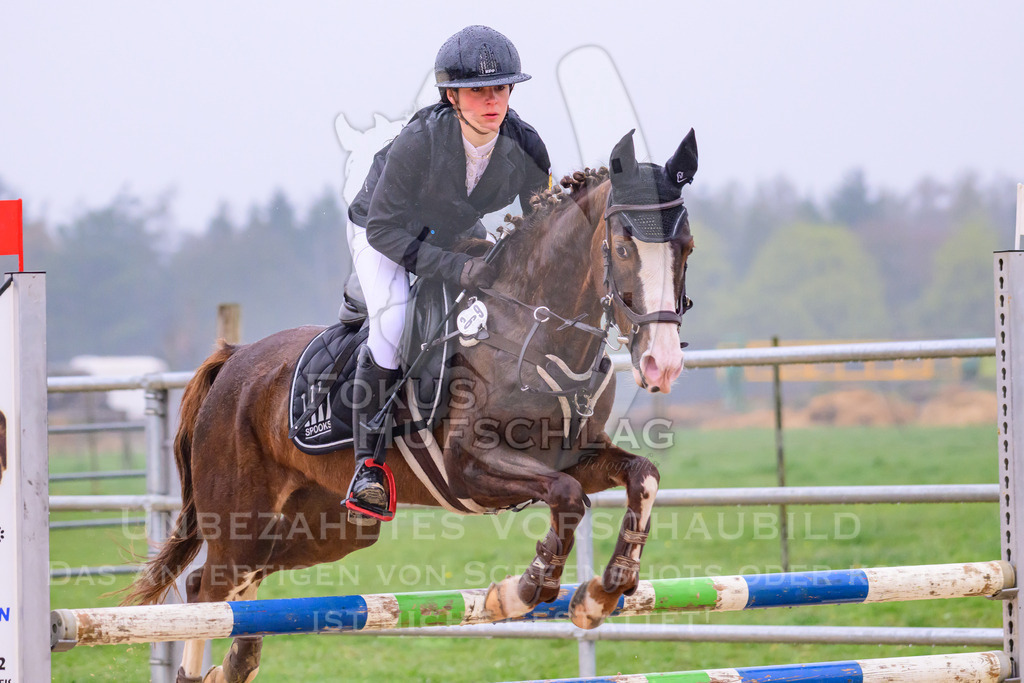 10042026-Mammendorf-Prfg14-0291 | Fokus Hufschlag Fotografie - Realisiert mit Pictrs.com
