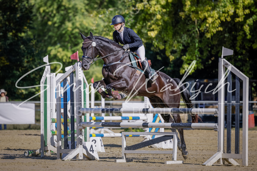 20250906-_3LI3347 | Tierfotografie Pferde, Hunde, Katzen, Haustiere.
Turnierfotografie Reitturniere, Reiten, Springreiten, Dressur in Hanau, dem Main-Kinzig-Kreis und dem Rhein-Main- Gebiet um Frankfurt