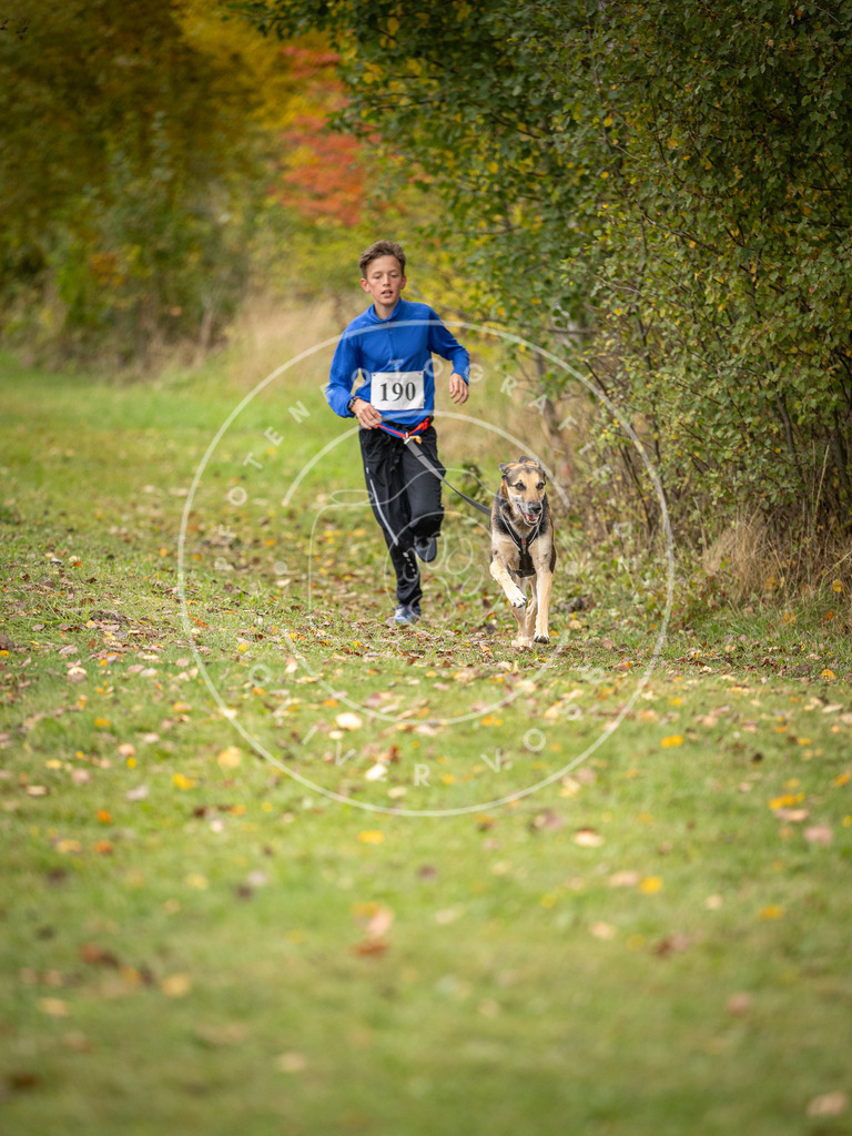 Pfotenfotografie_DV3A3579 | Hundefotografie, Tierfotograf, Pfotenfotografie, Fotoshooting Hund, Hunde Portrait, Hundesport, Hundeportraits, Heideshooting, Hunde, Sportfotograf, Hundefotograf, Turnierhundsport, THS,  - Realisiert mit Pictrs.com