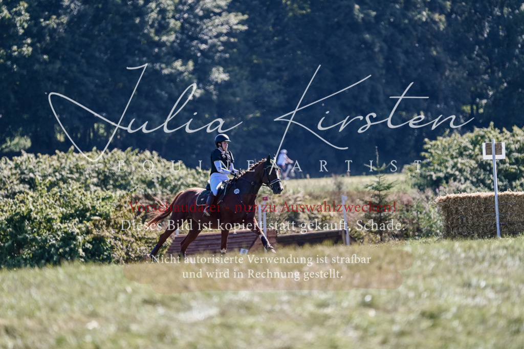 DSC_3140 | Pferde- und Turnierfotografie in Westsachsen. Pferdeportraits, Auftragszeichnungen und intuitive Kunst.