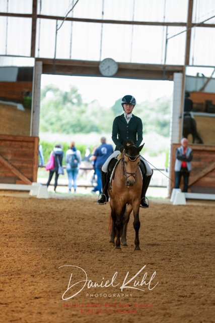 _62_6233 | Turniersportfotografie; Pferdefotografie; Dressurfotografie