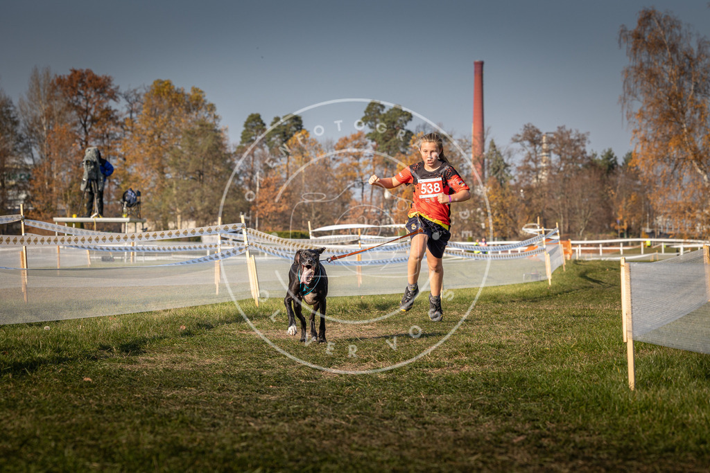 CaniXpix_0L8A8996 | Hundefotografie, Tierfotograf, Pfotenfotografie, Fotoshooting Hund, Hunde Portrait, Hundesport, Hundeportraits, Heideshooting, Hunde, Sportfotograf, Hundefotograf, Turnierhundsport, THS,  - Realisiert mit Pictrs.com