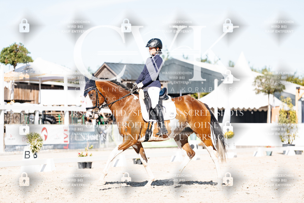 CK908097 | Turnierfotografie Pferdefotografie Trier Rheinland-Pfalz Pferdesport Reitsport Tierfotografie Sportfotografie Pferdevideo Pferdevideografie Equestrianvideography equestrianphotography  - Realisiert mit Pictrs.com