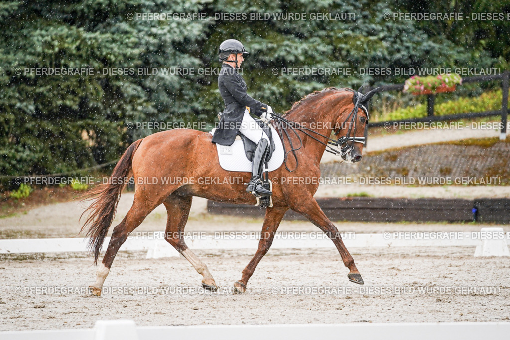 DSC09043 | Pferdegrafie