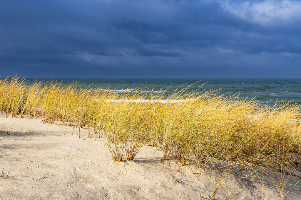 Strand an der Küste der Ostsee in der Nähe von Graal Müritz | Strand an der Küste der Ostsee in der Nähe von Graal Müritz.