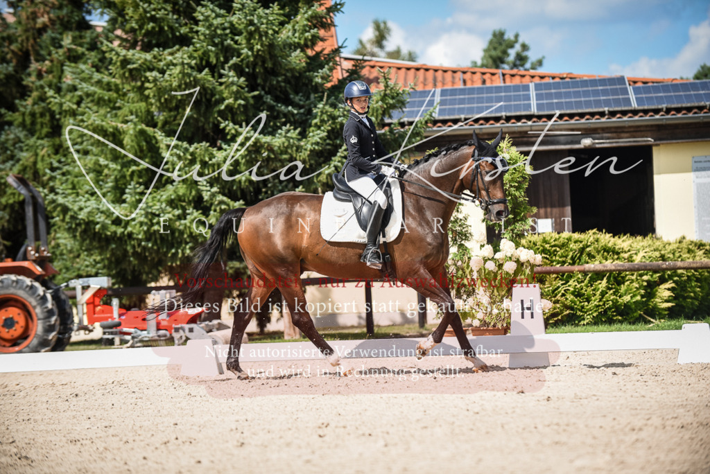DSC_9419 | Pferde- und Turnierfotografie in Westsachsen. Pferdeportraits, Auftragszeichnungen und intuitive Kunst.