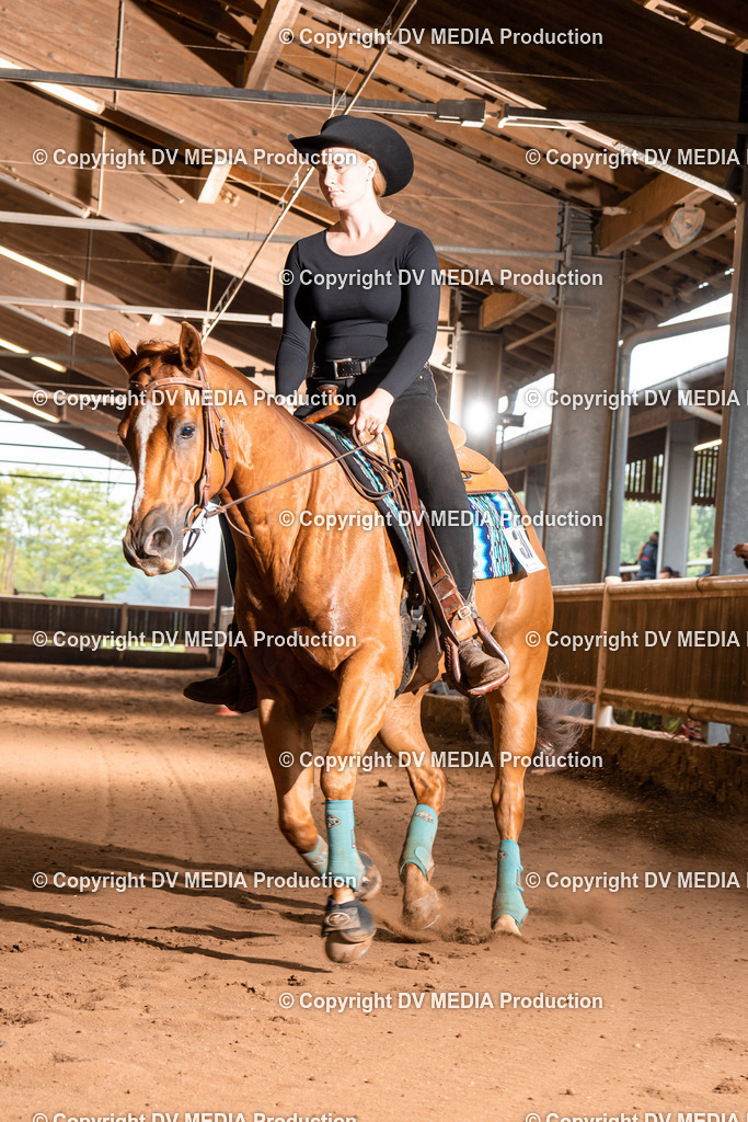 Erbach Tag 2-712 | dv-media-shop - Realisiert mit Pictrs.com