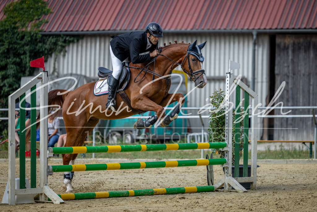 20260704-_3LI6773 | Tierfotografie Pferde, Hunde, Katzen, Haustiere.
Turnierfotografie Reitturniere, Reiten, Springreiten, Dressur in Hanau, dem Main-Kinzig-Kreis und dem Rhein-Main- Gebiet um Frankfurt