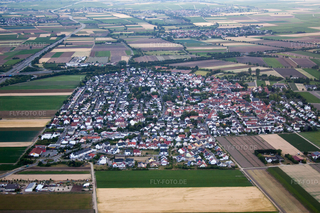Luftbild: Ortsansicht von Osten in Beindersheim im Bundesland Rheinland-Pfalz in Deutschland. Foto: IMG_69207.jpg vom 24.06.2014 durch Werner Riehm/FLY-FOTO.de