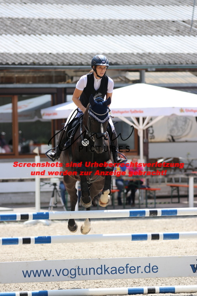 IMG_0037 | lmwpictures - Realisiert mit Pictrs.com